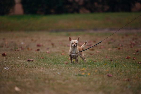 Effective Tactics for Protecting Your Property Investments in High-Risk Areas